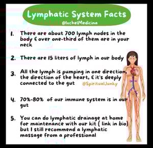 Image of Lymphatic Drainage Small Kit 