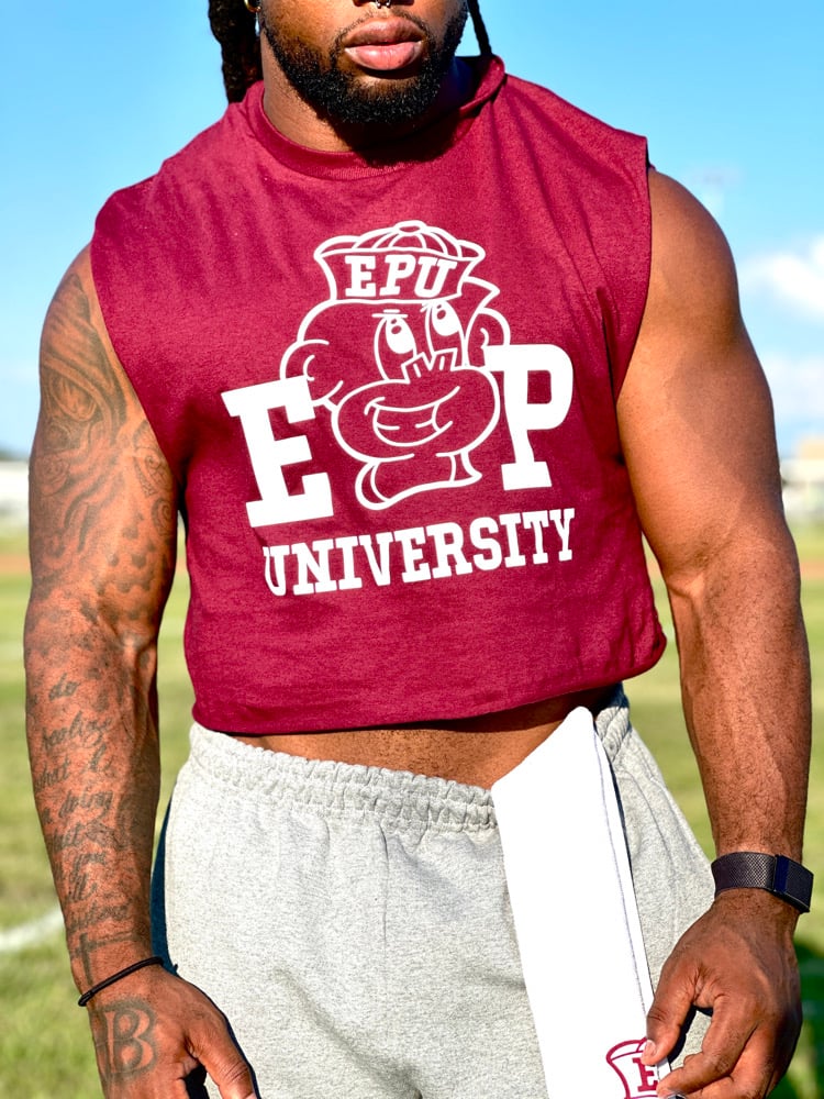 Image of Enigma Project University Shirt.