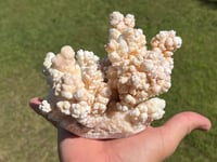 Image 3 of Calcite Crystal Cluster Reef Formation Specimen #1235