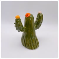 Image 3 of Cactus 8 cm