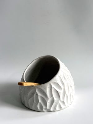 Image of Salt pig 5