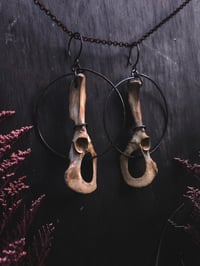 Image 1 of pelvic hoops (can be earrings for non-sensitive ears)