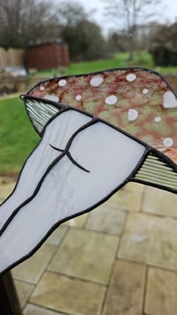 Image 2 of Mushroom bum 5