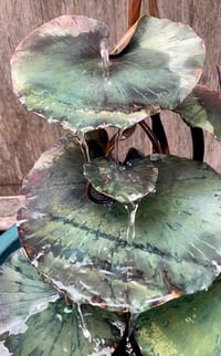 Image 4 of Luscious Lily Leaves 