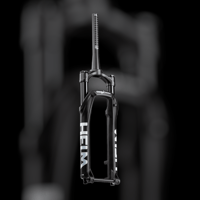 Cane Creek Helm DJ