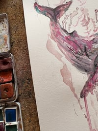 Image 3 of Baleine Rose 
