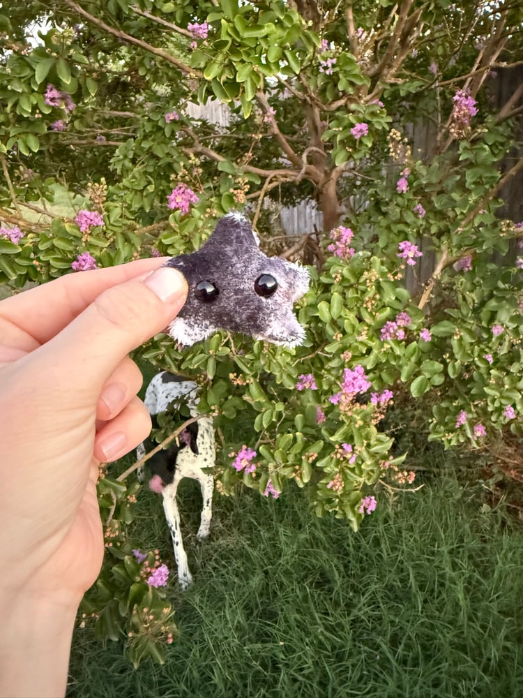 Image of Tiny star cow print 2