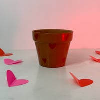 Image 2 of Valentines Day Decorative 4”inch Pot with Marble Queen Pothos 3