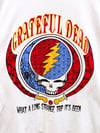 Grateful Dead 1993 Summer Tour Lot T-Shirt - Fits L