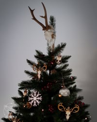 Image 4 of JARNVID Yule Decor Pack: 3 Deer Skulls