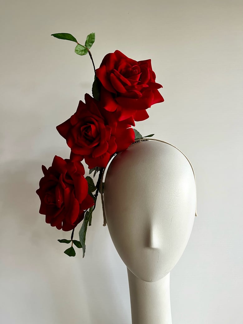 Image of Red, red roses.