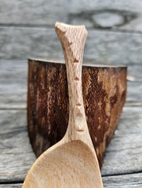 Image 4 of Grevillia eating spoon.