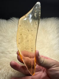 Image 15 of Copal Amber With Preserved Insects #2357
