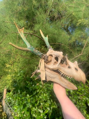 ANTLERED DRAGON SKULL 