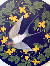 Image 2 of Swallows and Greater celandine 