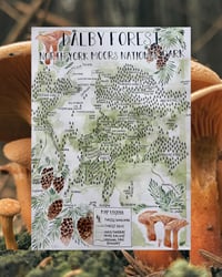 *Pre Order* Dalby Forest - A3