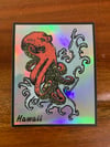 Hawaiian octopus