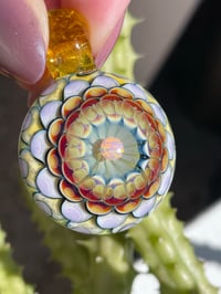 Image 3 of Sunburst Dahlia