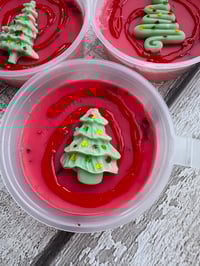 Image 5 of Festive Fig and Snowberry pretty pots