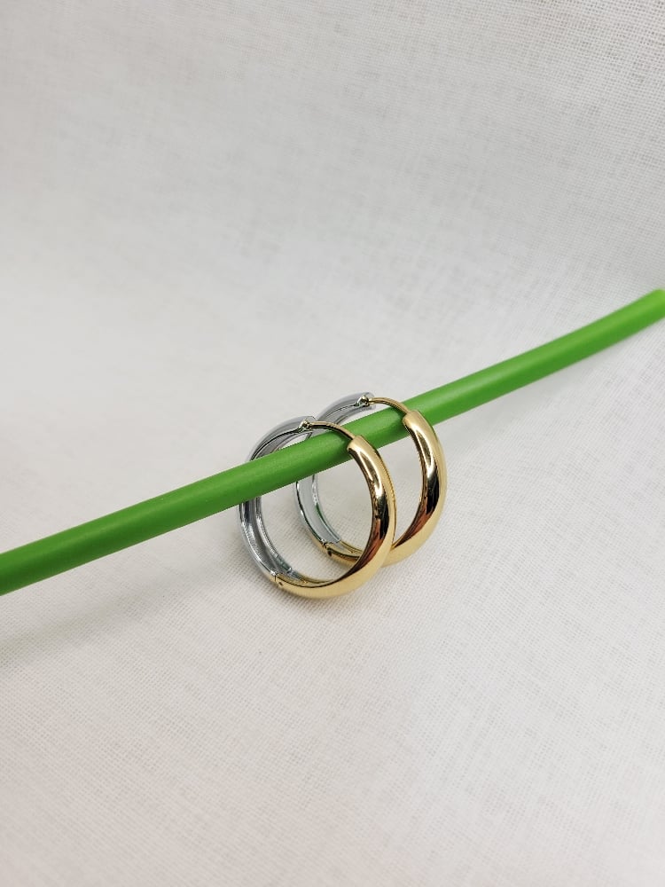 Image of Taylor Hoop Earrings 