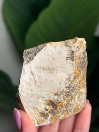 Image 2 of SELF STANDING DENDRITIC FELDSPAR -ITALY- H