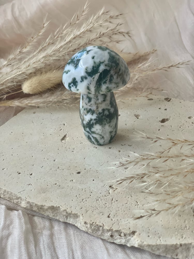 Image of Moss Agate Mushrooms Lge  