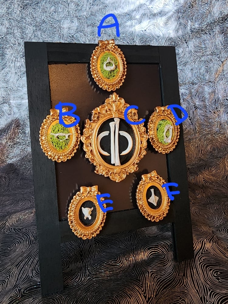 Image of bone magnet