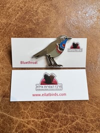IBRCE Bluethroat Pin Badge