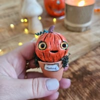 Image 3 of Mme Pumpkin Martine