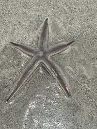 Image 8 of Embroidery T-shirt1