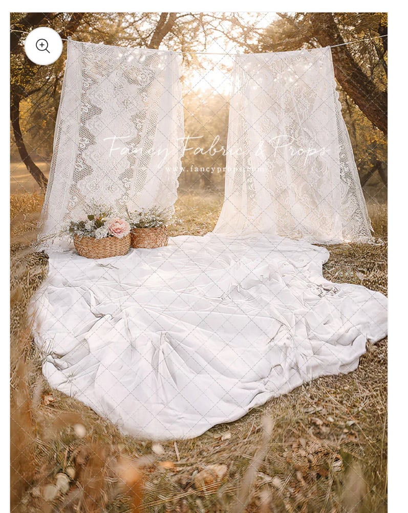 Image of Studio Model Session. Saturday 1/31/2026