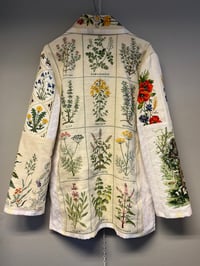 Image 16 of The herb garden (m/l)