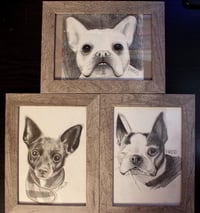 Image 4 of Custom Pet Portraits