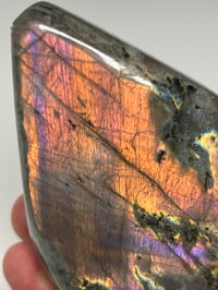 Image 4 of Purple Labradorite Freeform | Madagascar #2992