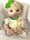 Image of Maebella, 21” Chubby Baby Girl