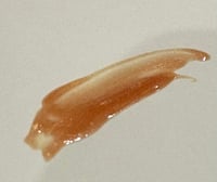 Image 2 of Citrus Glow 🍋 