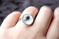 Image 5 of Dead Good dead Fly ring
