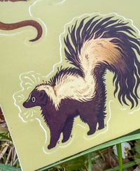 Image 5 of Urban Trash Animals Sticker Sheet 4 x 6”
