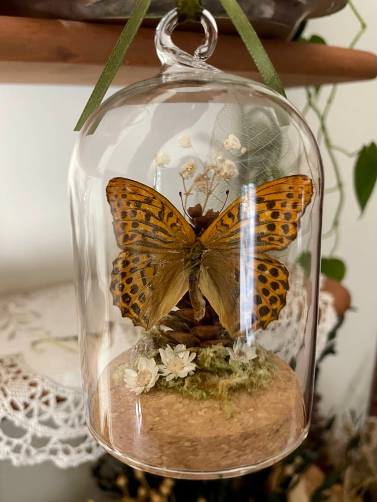 Image of Butterfly ornament