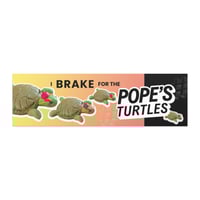 Image 2 of I BRAKE FOR THE POPE'S TURTLES 🐢 Woke Popemobile Car Bumper Magnet