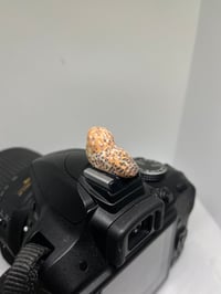 Image 4 of Barn Owl Hotshoe Cover