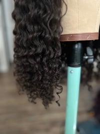 Image 1 of Burmese Mink Curl
