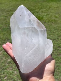 Image 9 of Clear Quartz Points Cluster #1187