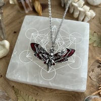 Image 2 of Red Death Moth Steel Necklace