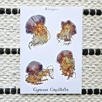 Image 3 of Jellyfish Sheet