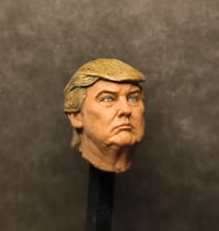 Image 2 of 046  DOLAN TRUMP