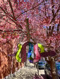 Image 2 of  Pink Snake ๐ ๐