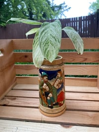 Image 1 of Stromanthe in German Stein with Quote 