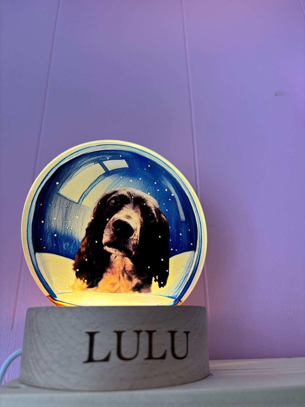 Image of Personalised Pet/loved ones snow globe