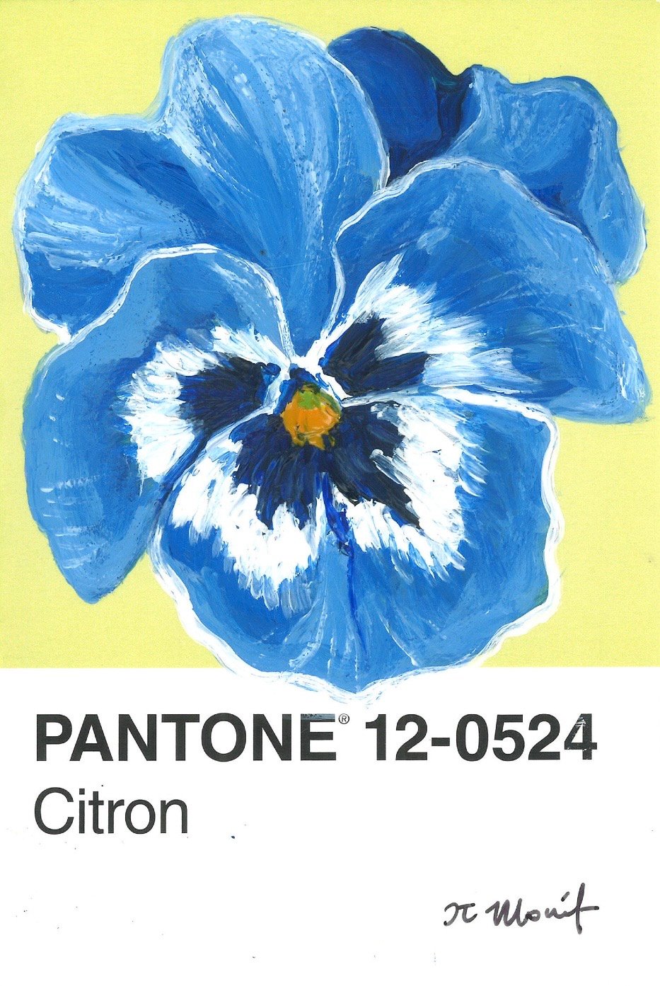 Image of Pansy Pantone